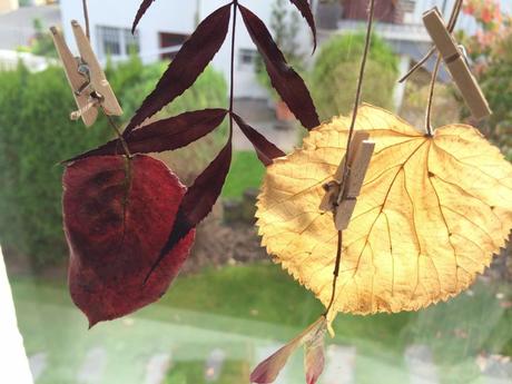 Zauberhaft schön: Hängende Herbstblätter fürs Fenster