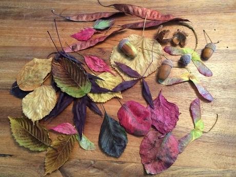 Zauberhaft schön: Hängende Herbstblätter fürs Fenster