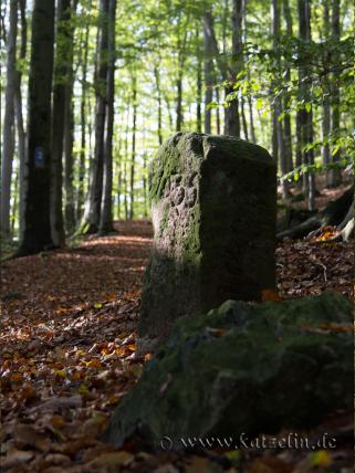 Reise-Galerie: Märchenhafte Herbstwälder rund um Burg Ebersburg