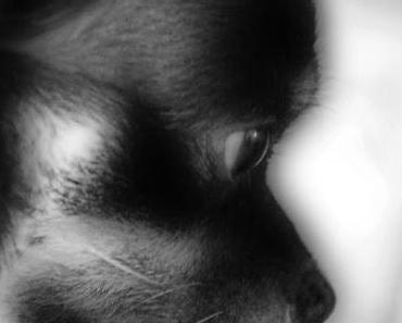 Glücksmomente der Woche