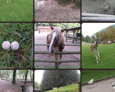 05. Okt. 2014 – 18:43