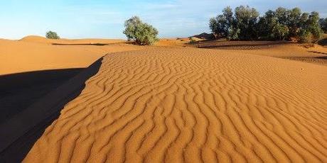 Marokko: fast mehr als 100 Grad