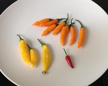 Geist der Berlin-Hilfe lebt