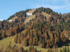 Schönenbach - sanfte Berglandschaft