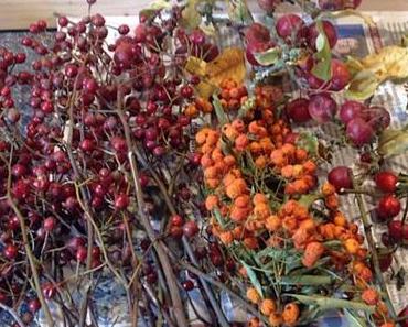 Lieber Herbst: Dankeschön! – oder – Herbstliche Früchte, am besten frisch😜