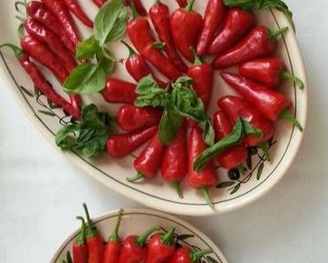 Es bleibt dabei: Ohne Worte!