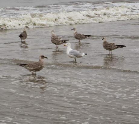 Noordwijk