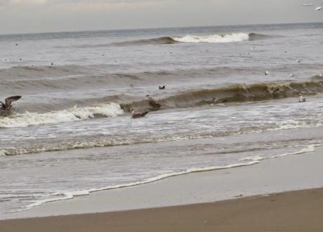 Noordwijk