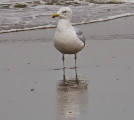 Noordwijk