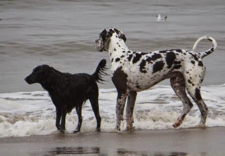 Noordwijk