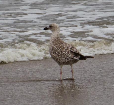 Noordwijk