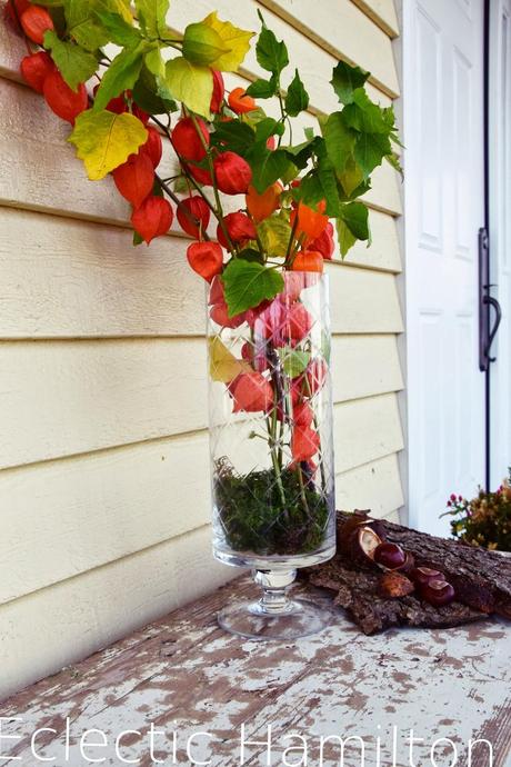 Natürliche Lampions  #Autumn Decoration Vol.2