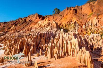 Die Tsingy Rouge im Norden von Madagaskar, südlich von Diego Suarez. Copyright PRIORI Reisen.