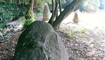 Menhire im Odenwald