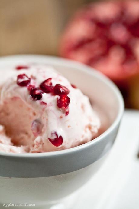 Homemade Frozen Joghurt ♥Aus Blutorangen-Granatapfel-Joghurt und ganz ohne Eismaschine