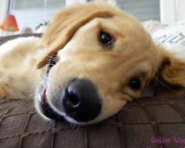 “In die Box” – Teil 2