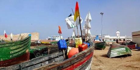 Marokko: viele Fische und auch im Muger