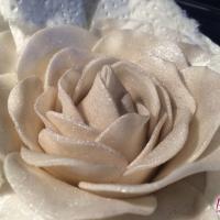 Rose elfenbein Blütenpaste
