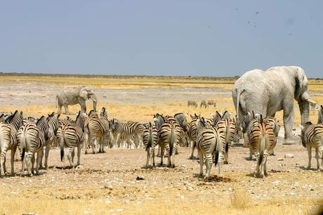 Reiseziel Namibia