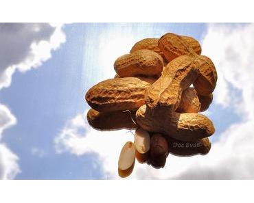 Köstlich kochen 2 [punkt] 0