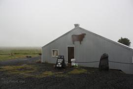 Eishai oder Hummersuppe – Essen und Trinken in Island