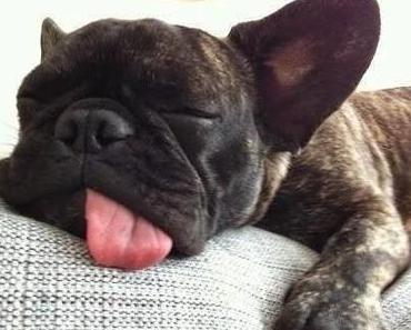 just another tv-junkie...