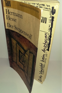 Der Steppenwolf – Hermann Hesse