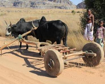 Transport – Madagaskars Herausforderung