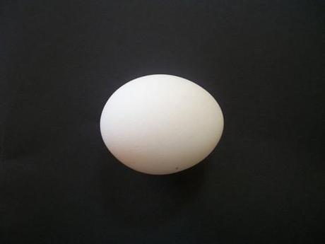 egg-14534_640