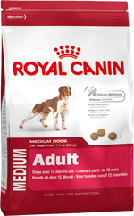 Lucy testet Royal Canin