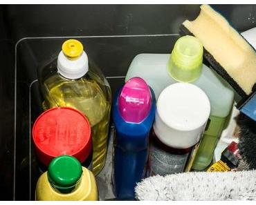 Internationaler Tag der Putzfrau