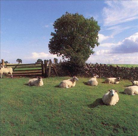 the klf chill out