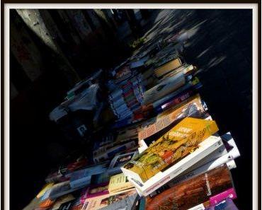 Niveau und Literatur – ein Problem oder machbar?