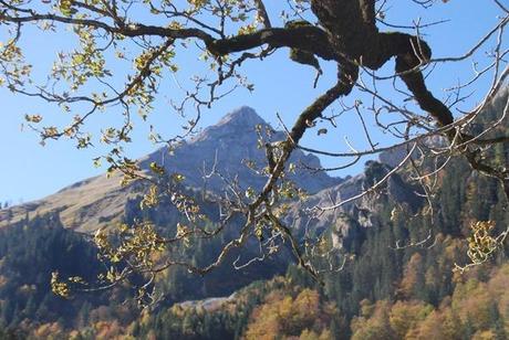 11_Herbst-Eng-Tirol-Karwendel-Ahornboden