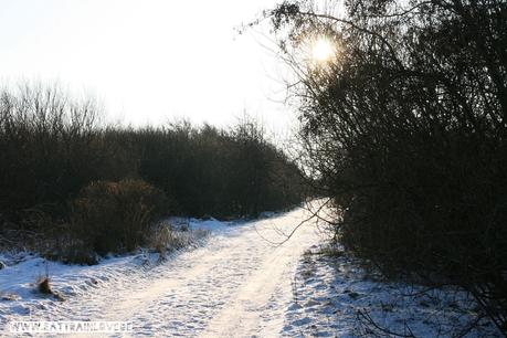 Laufen-im-Winter