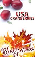 blogparade cranberries hoch Cranberry Müsli Riegel mit weißer Schokolade