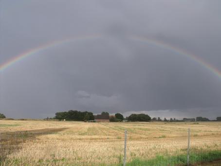 Ostsee, 18573 Rambin auf Rügen: Ländliche Ferienwohnungen auf Rügen