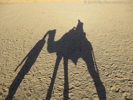 11_Kamel-Schatten-Selfie-Wueste-Hurghada-Aegypten
