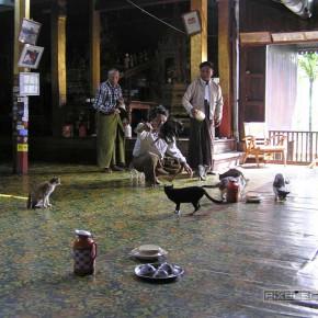 Reisebericht Myanmar 2004: Inle See – Einbeinruderer, springende Katzen und goldene Boote