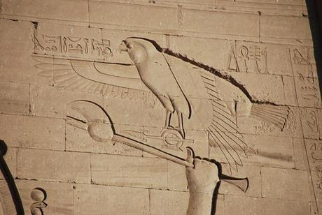 09_Falke-Relief-am-Horus-Tempel-Edfu-Aegypten-Nil-Nilkreuzfahrt