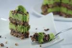 Rohe Avocado Nuss-Torte / Raw avocado-nut-cake