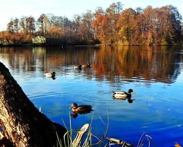 Sonntagsspaziergang ohne Brötchen...
