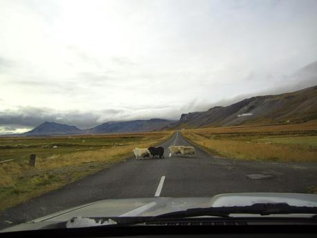 Nützliche Tipps für Island