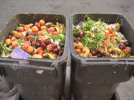 Die Essensretter - Müll & Lebensmittel