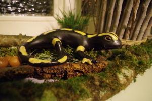 Salamander aus Keramik