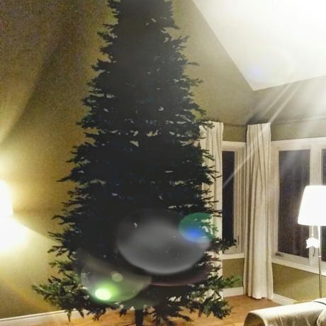 Eclectic Power Instagram - November 14 und ein purer Weihnachtsbaum