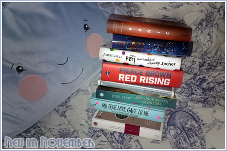 ¡Neue Bücher!: Ein letztes Mal für dieses Jahr