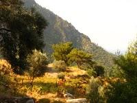 Along the Lycian Trail