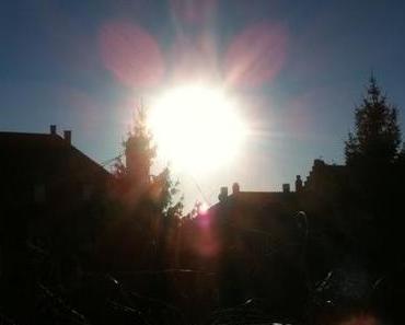 Weihnachten oder Frühling?