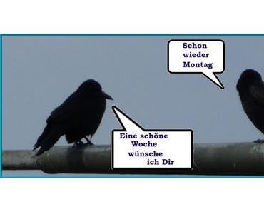 Schon wieder Montag